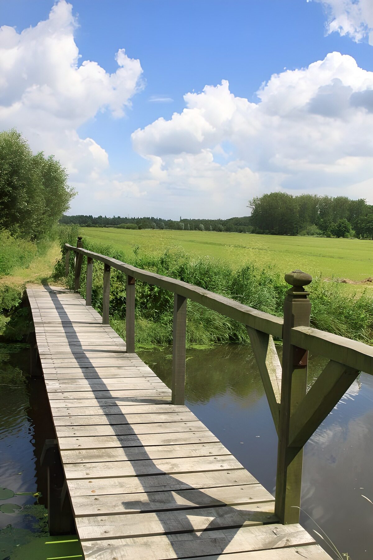 TPFR34358: Pont rustique sur une rivière tranquille