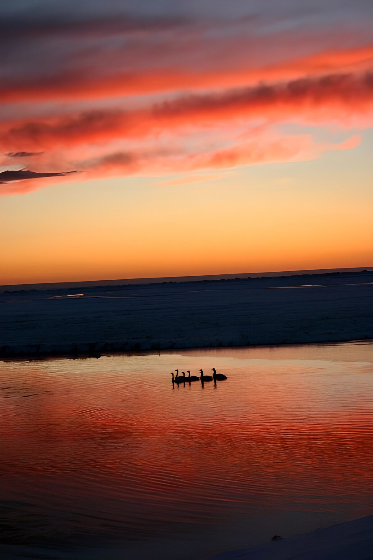 TPFR89781: Coucher de soleil sur l'eau tranquille