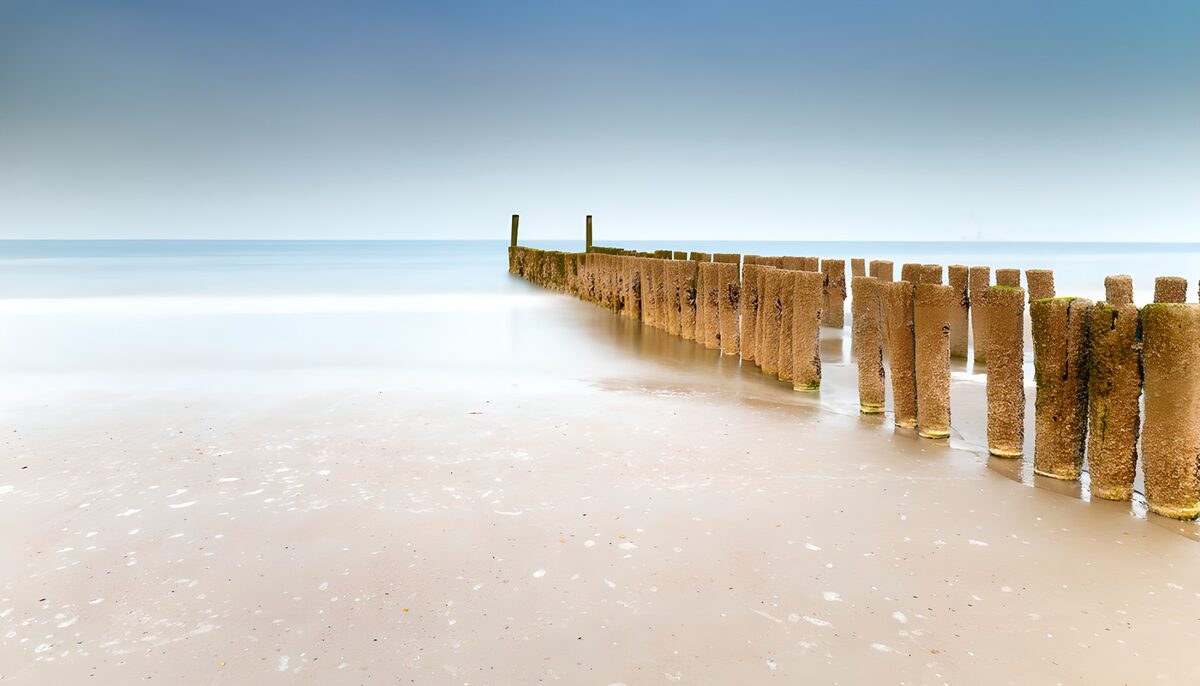 TPFR67813: Une promenade le long de la plage tranquille