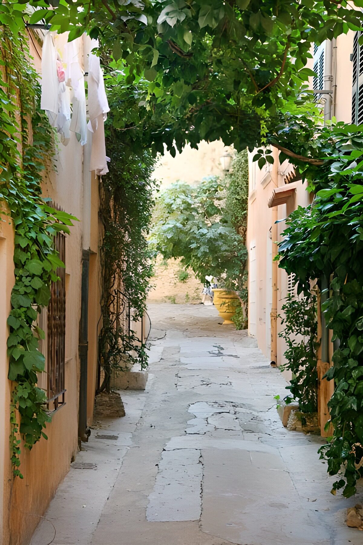 Ruelle surplombée de plantes grimpantes et maison où sèche la lessive