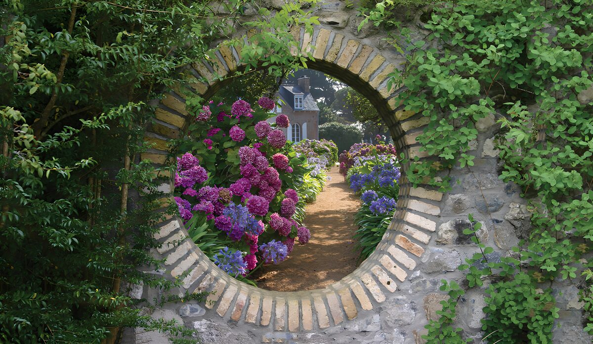 Un jardin enchanteur à travers le mur