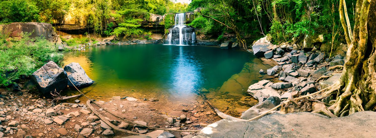 TPFR66297: Cascade cachée dans la jungle