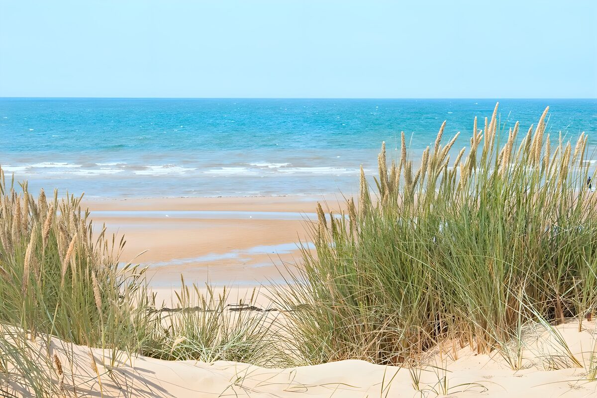 TPFR62411: Plage paisible avec herbes maritimes