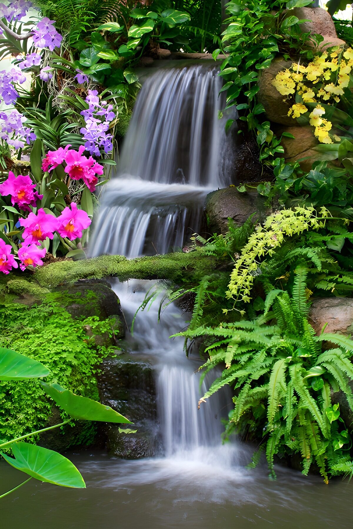 TPFR36364: Cascade florale vivante