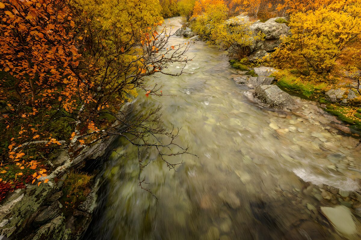 Rivière paisible en automne