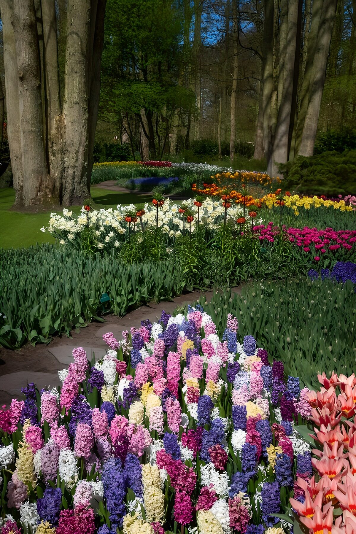 TPFR49073: Parc fleuri au printemps