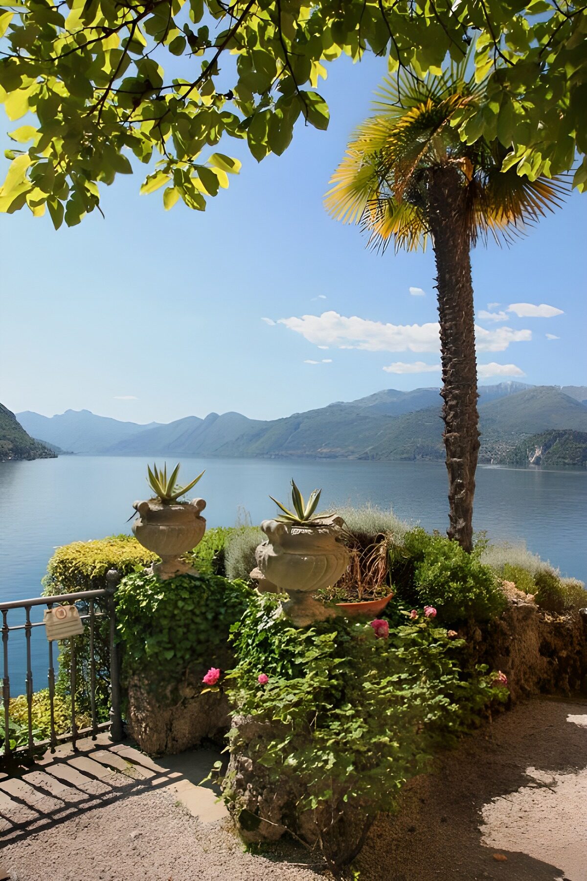 TPFR43455: Vue magnifique sur le lac