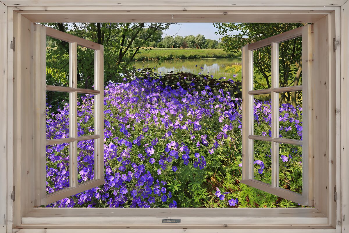 Vues florales à travers la fenêtre