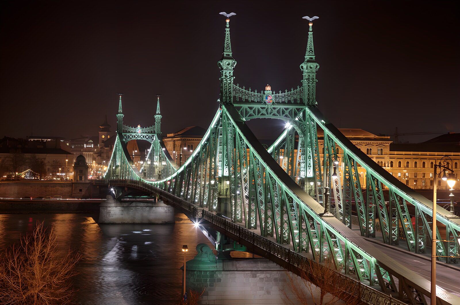 TPFR40260: Pont de la Liberté à Budapest