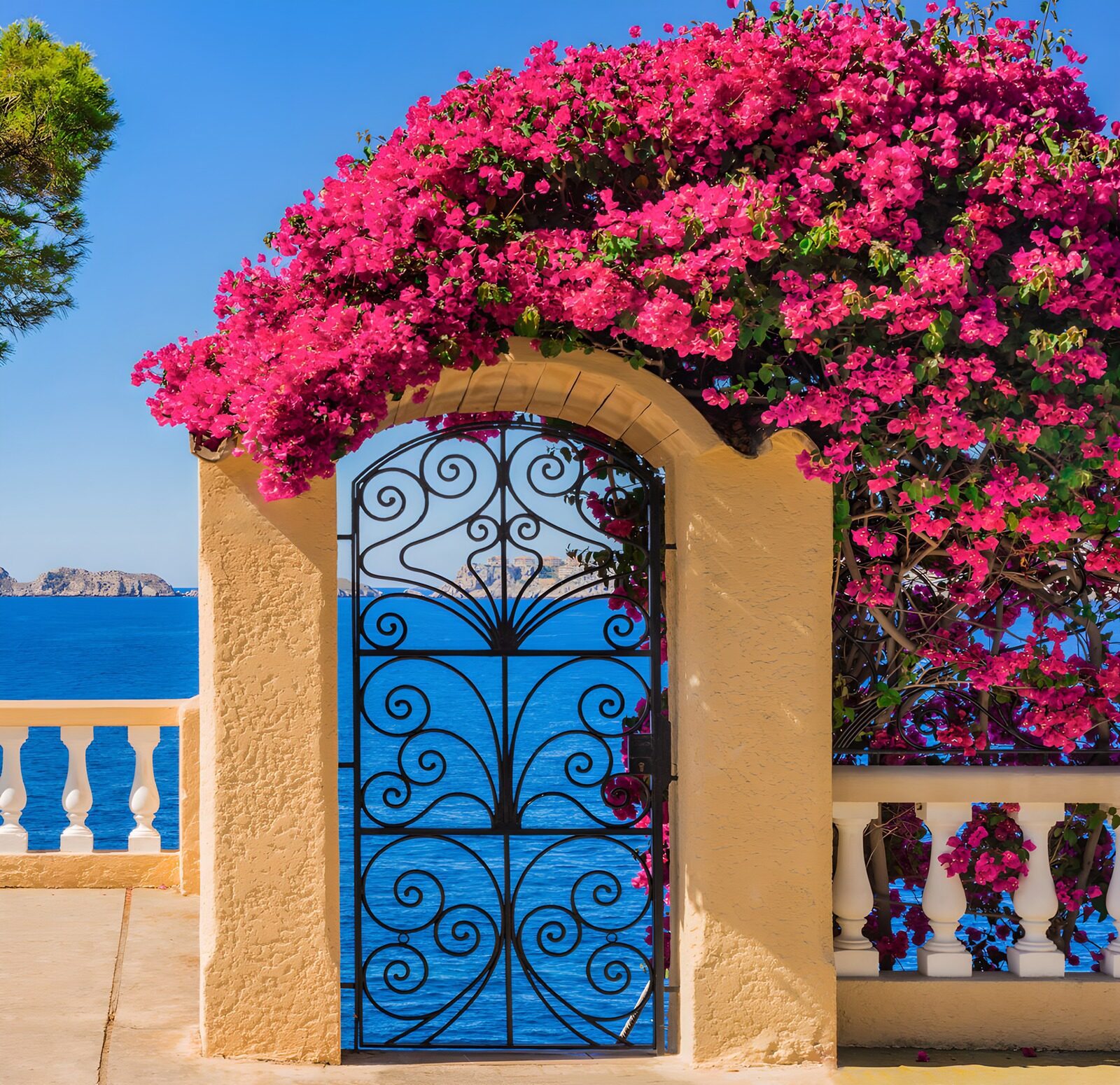 TPFR27001: Portail fleuri sur la mer bleue