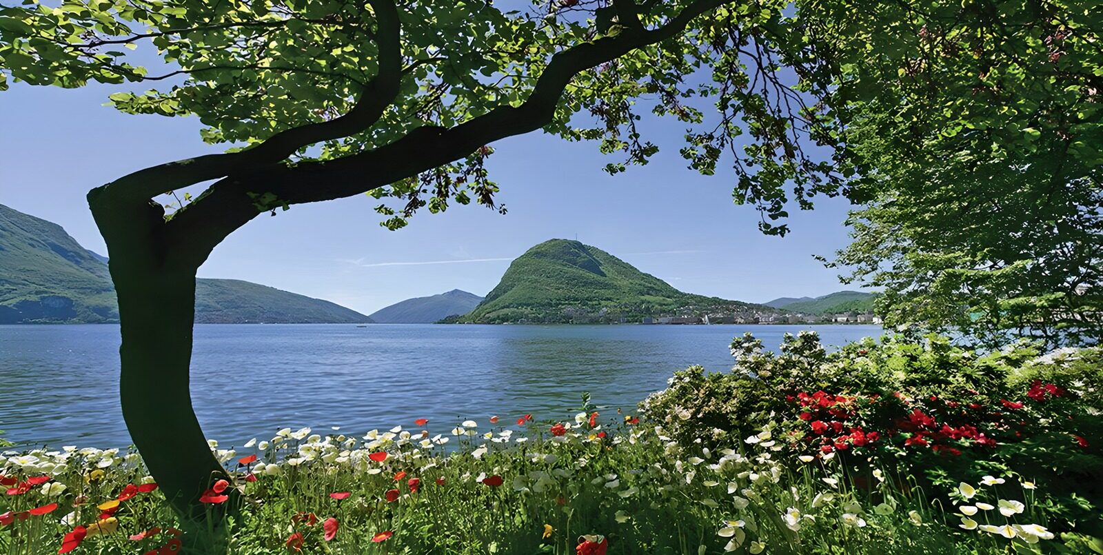TPFR38839: Paysage serein au bord d'un lac