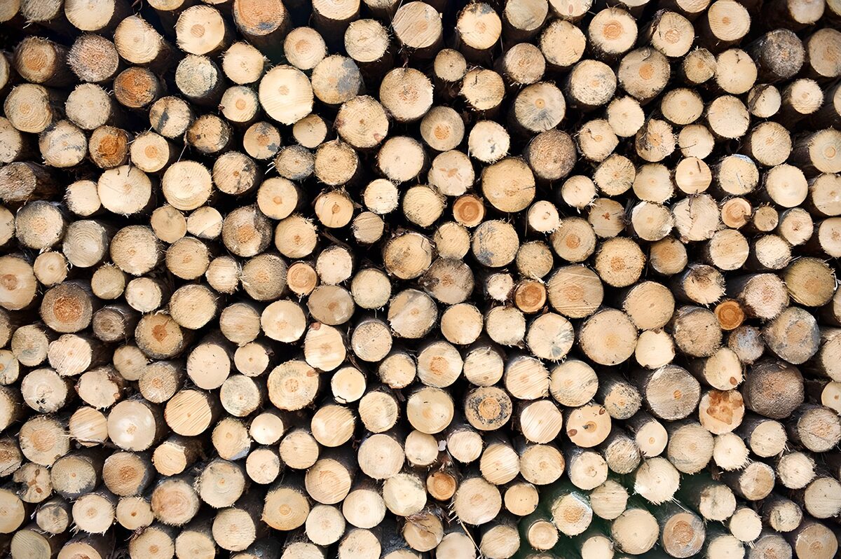 TPFR77856: Bûches de bois empilées