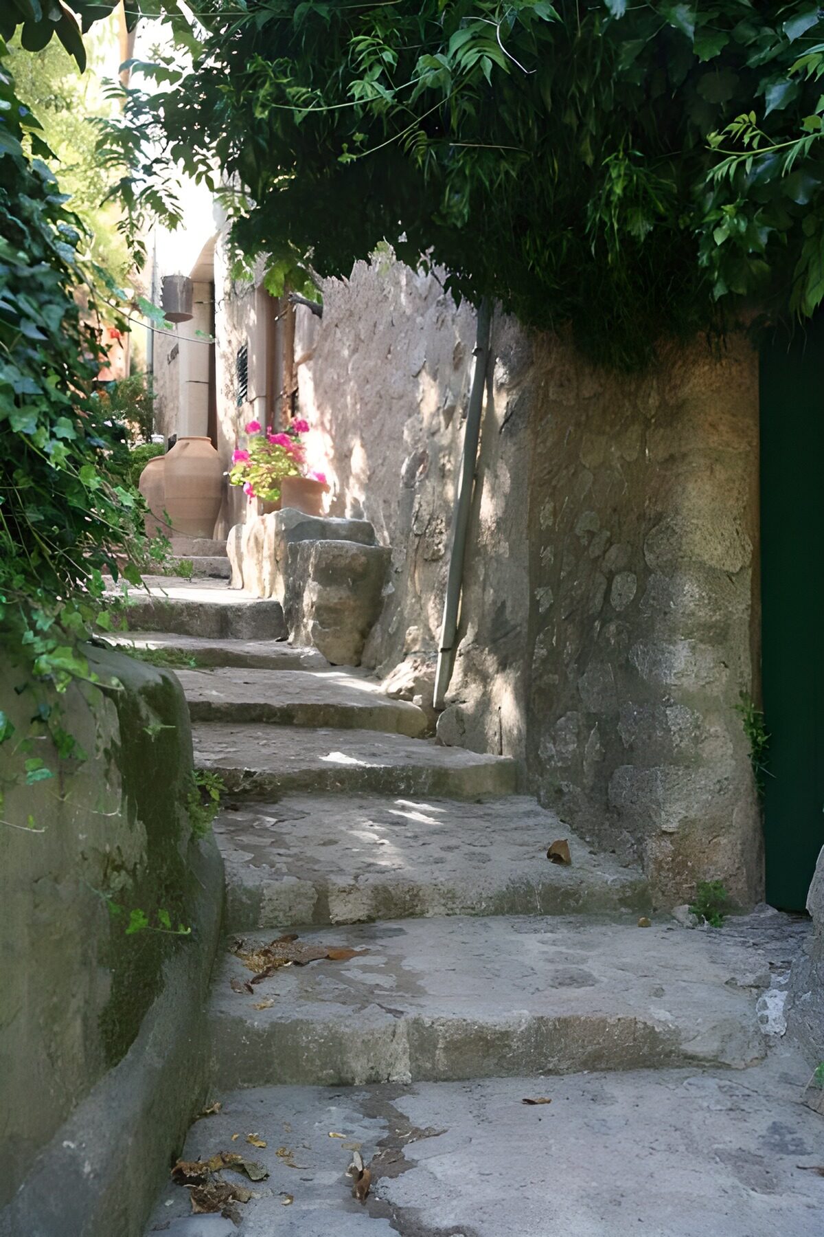 Escalier pavé le long d'un mur envahi de plantes grimpantes 1