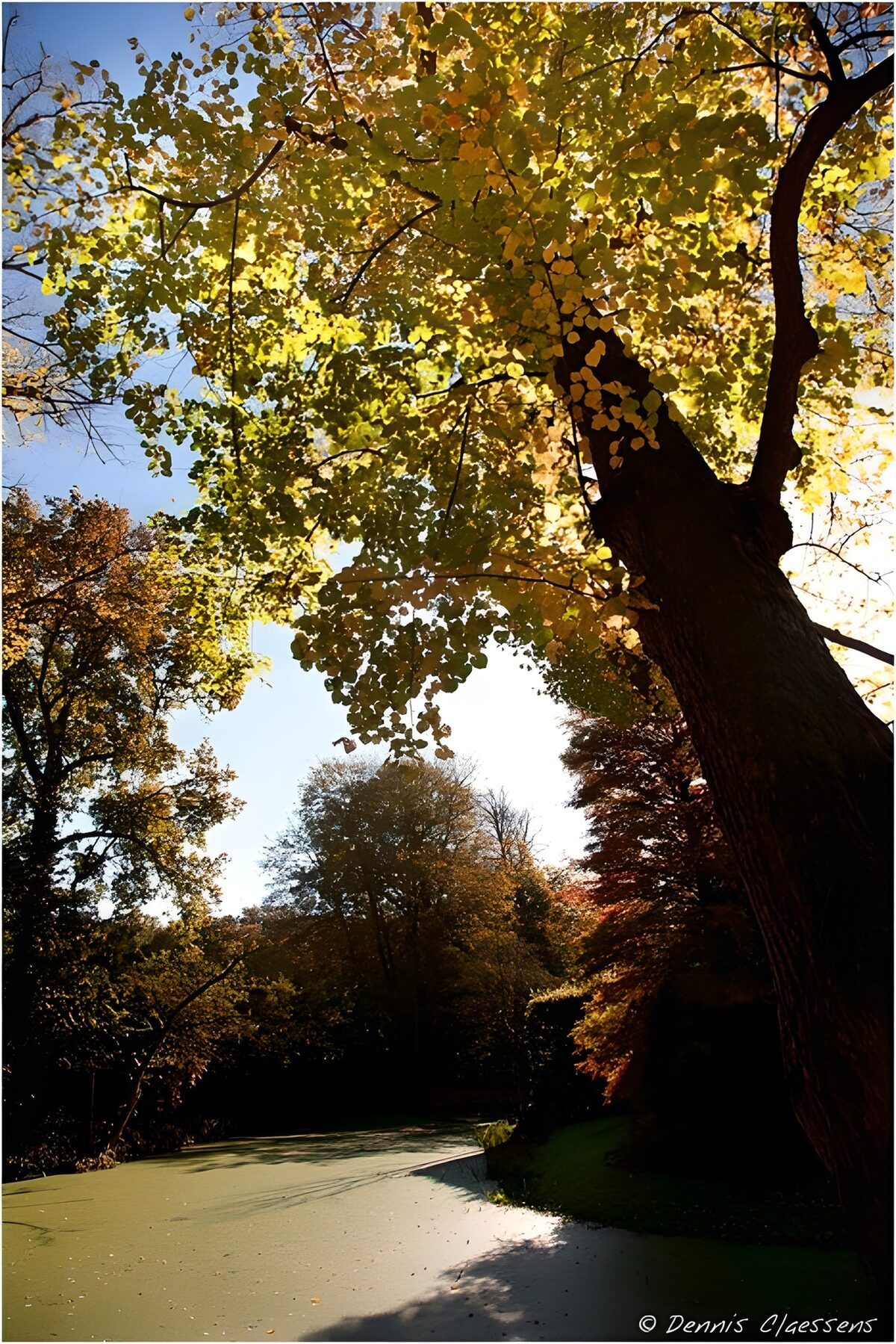 TPFR94605: Reflet de l’automne au bord de l'eau