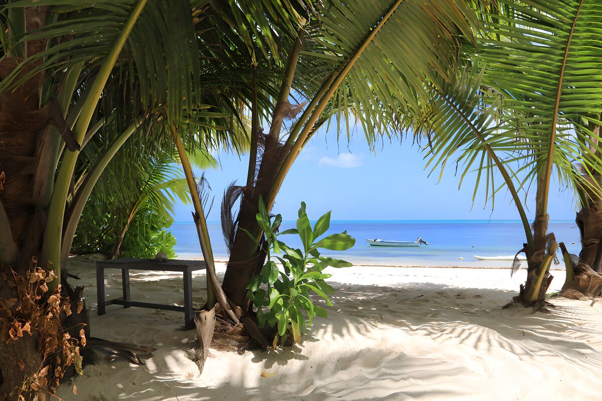 TPFR56199: Plage paisible sous les palmiers