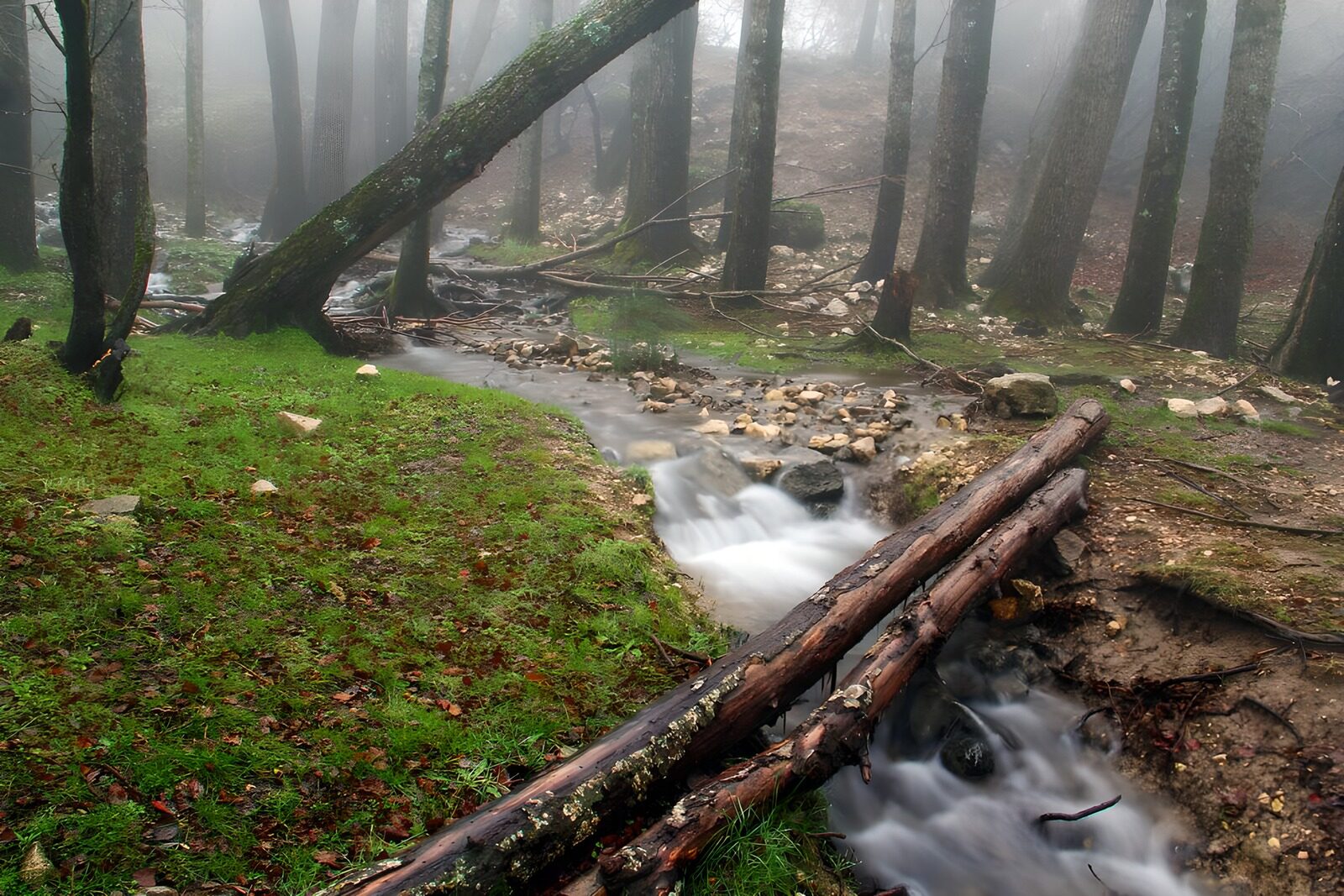 TPFR15092: Ruisseau dans la brume