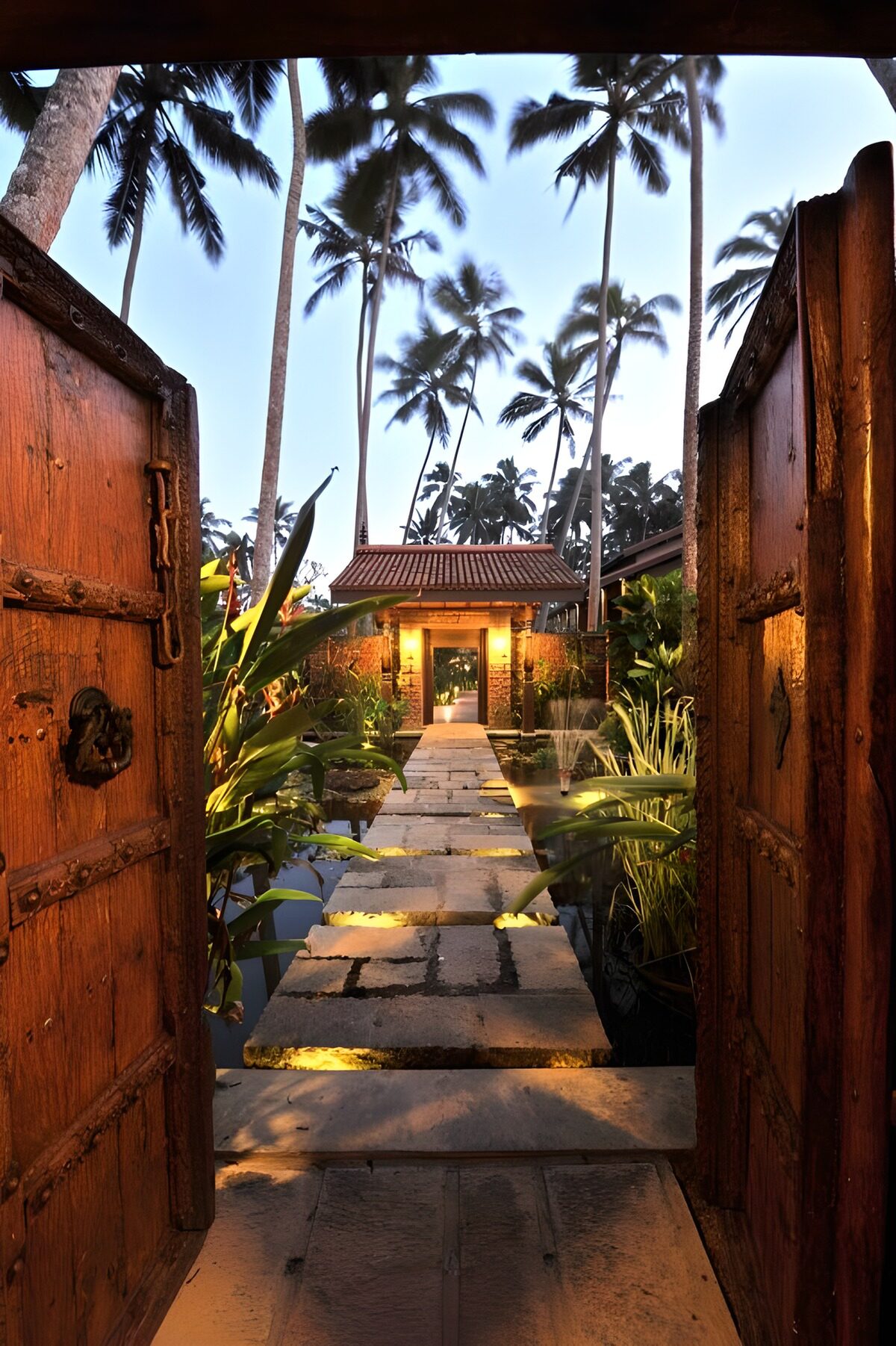 TPFR10243: Entrée magique dans un jardin tropical