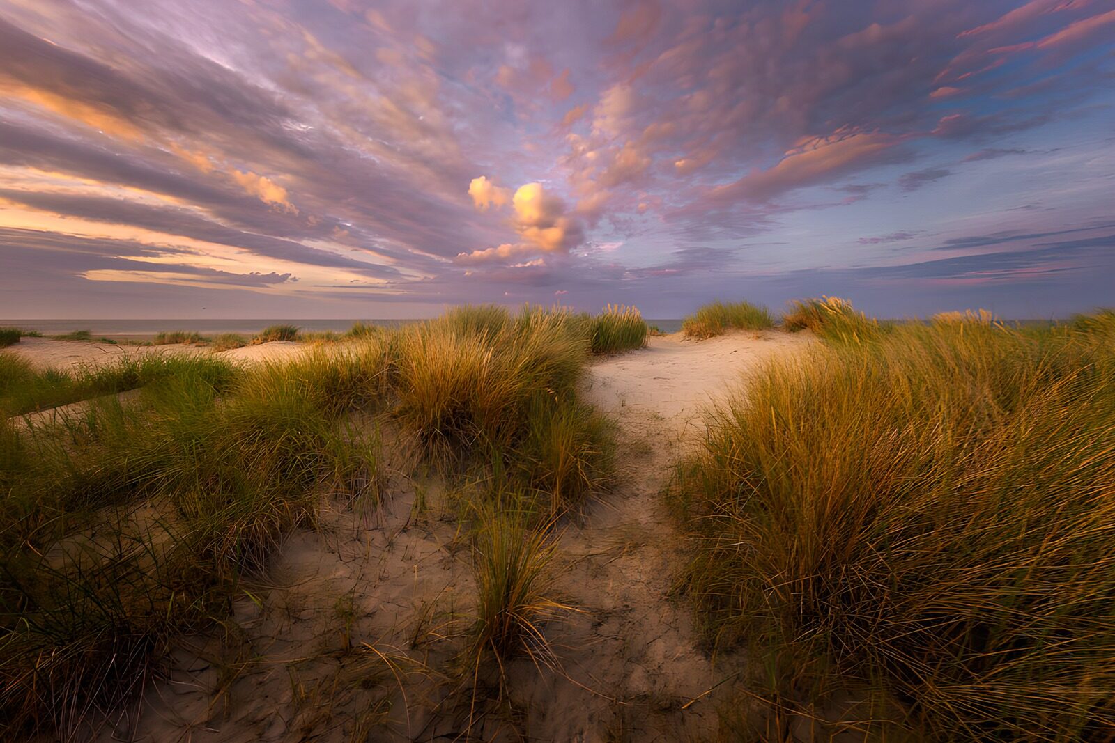 TPFR32865: Paysage de dunes au coucher de soleil