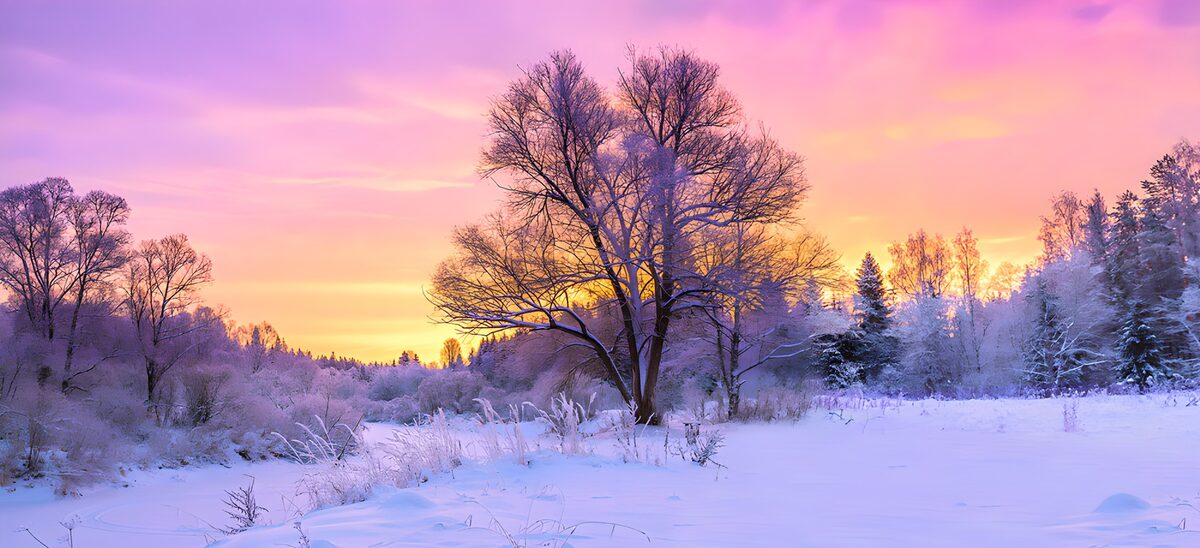TPFR46239: Beauté hivernale au crépuscule