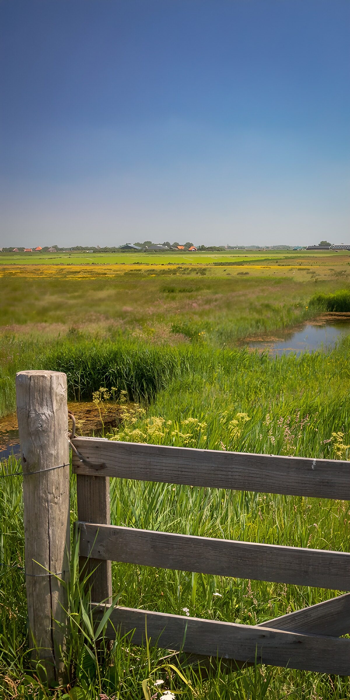 TPFR79524: Paysage paisible avec clôture en bois