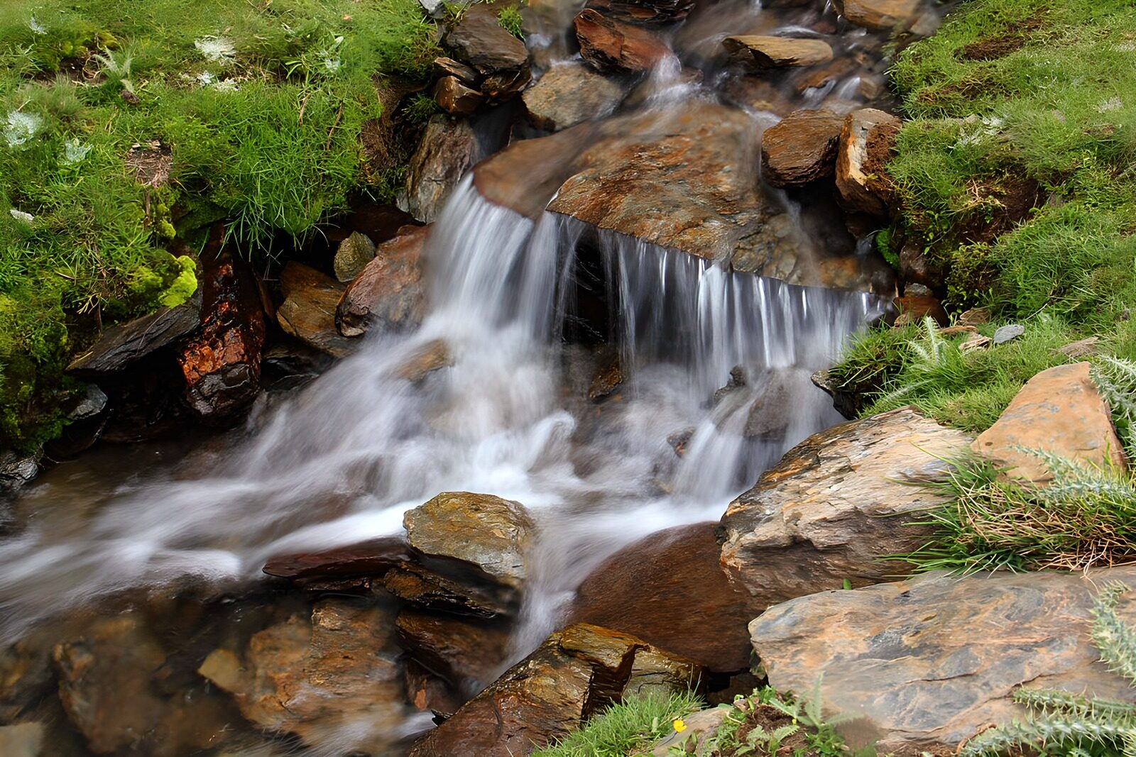 TPFR49537: "Ruisseau paisible au milieu des pierres"