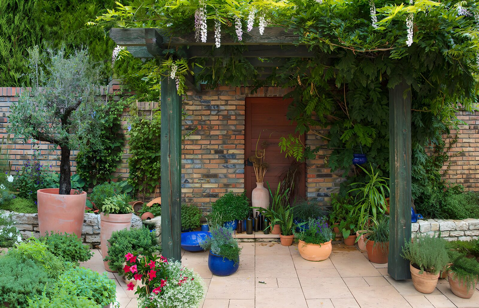 TPFR31860: Jardin luxuriant avec pergola et pots
