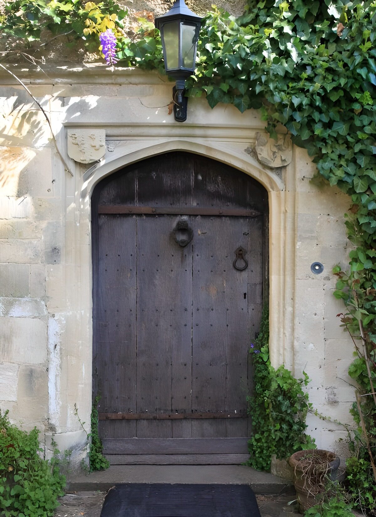 TPFR38761: Porte en bois rustique et verdure