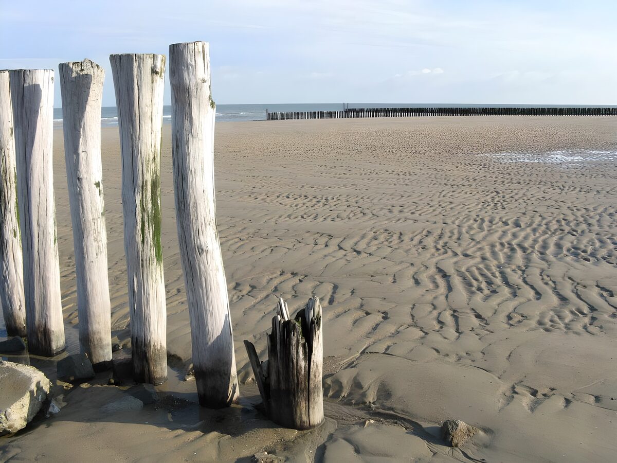 Alignement de pieux sur une plage et vue sur la mer