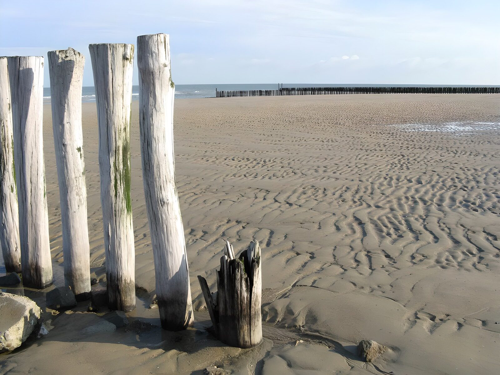 TPFR82256: Alignement de pieux sur une plage et vue sur la mer