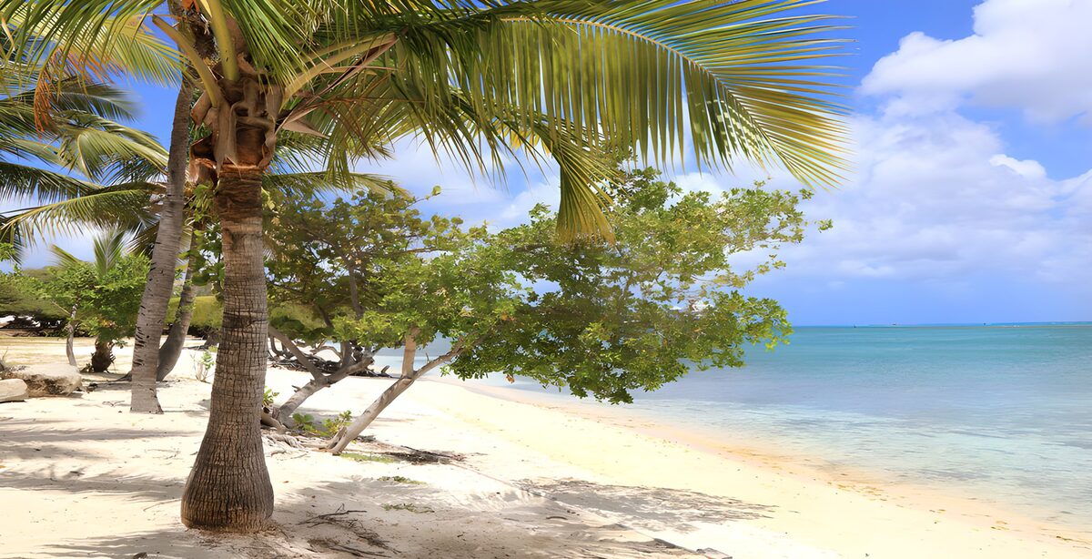 Plage paradisiaque sous le soleil