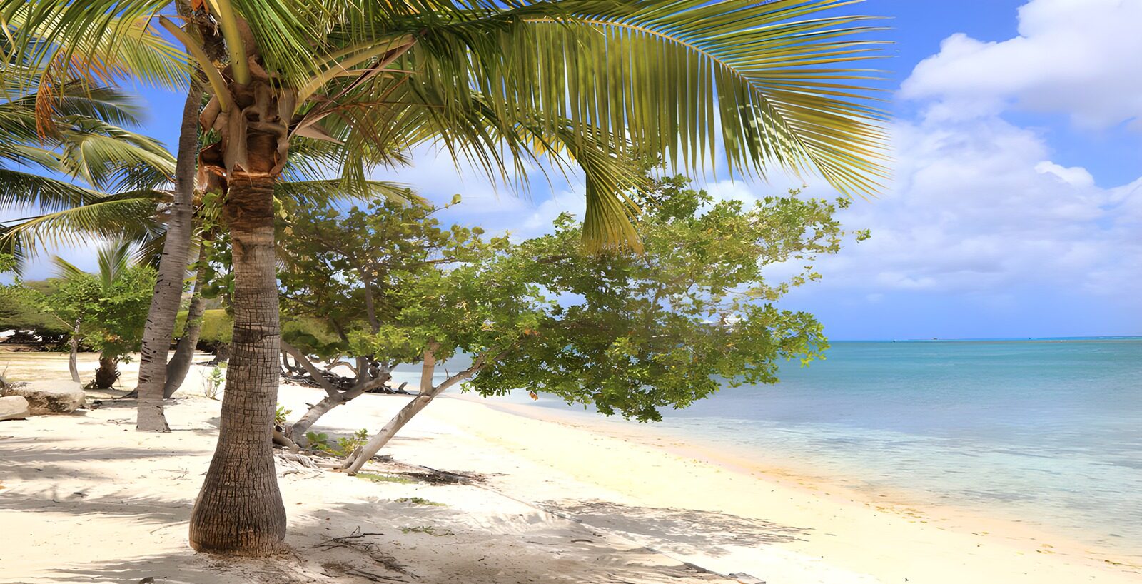 TPFR52396: Plage paradisiaque sous le soleil