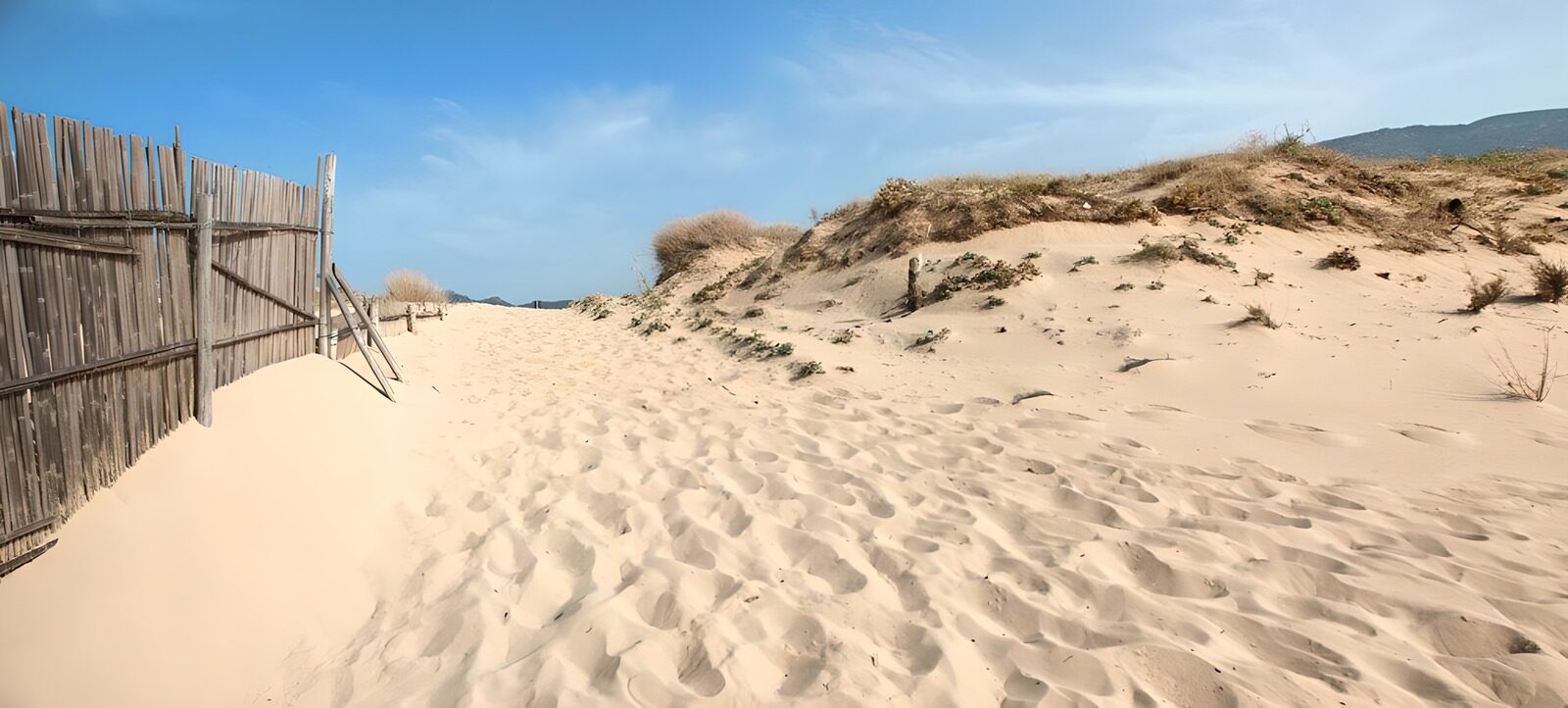 TPFR84979: Chemin de sable et clôture en bois