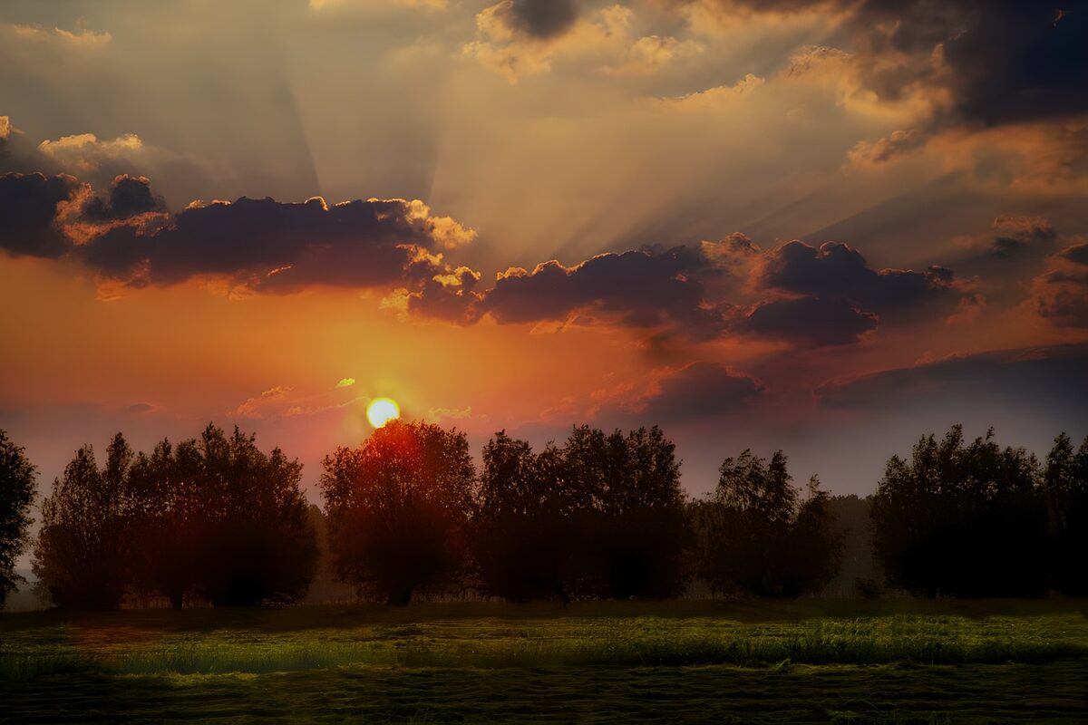 Coucher de soleil paisible sur la nature