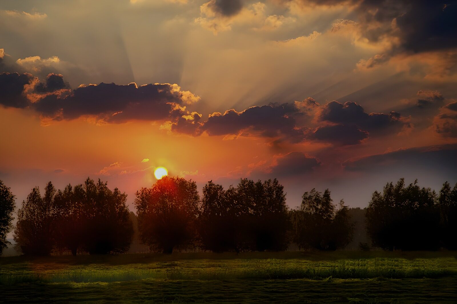 TPFR62560: Coucher de soleil paisible sur la nature