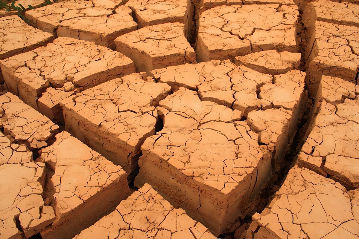 Terre craquelée par la sécheresse