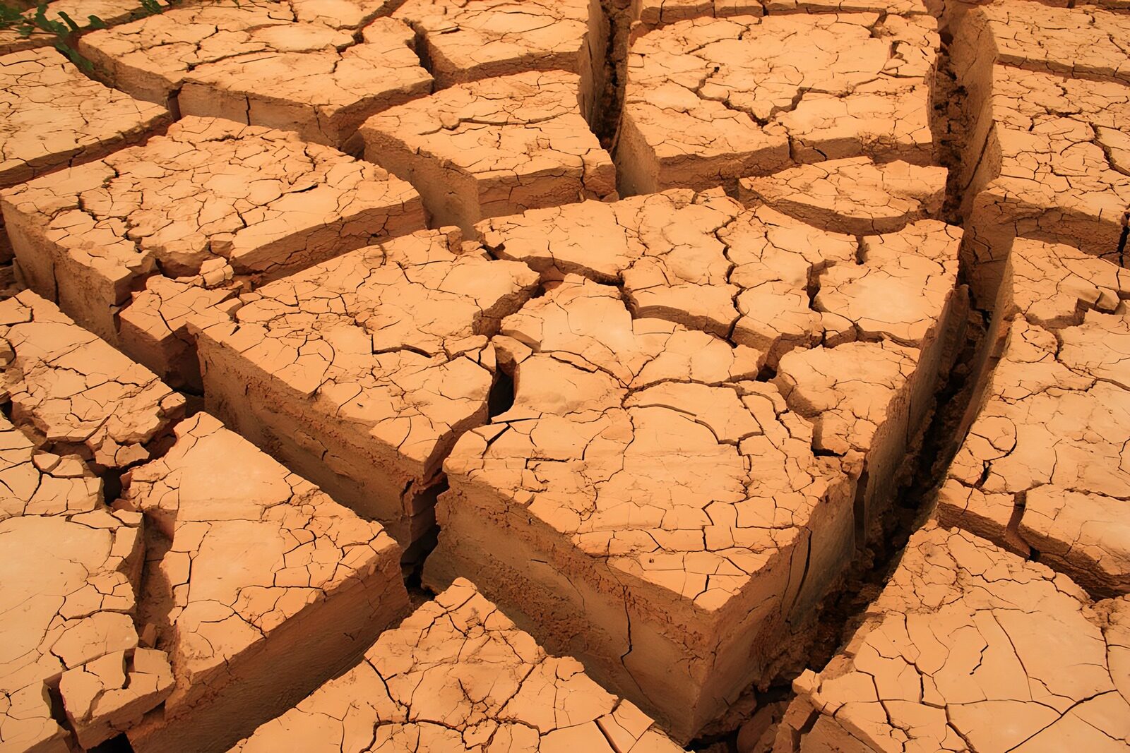 TPFR12257: Terre craquelée par la sécheresse