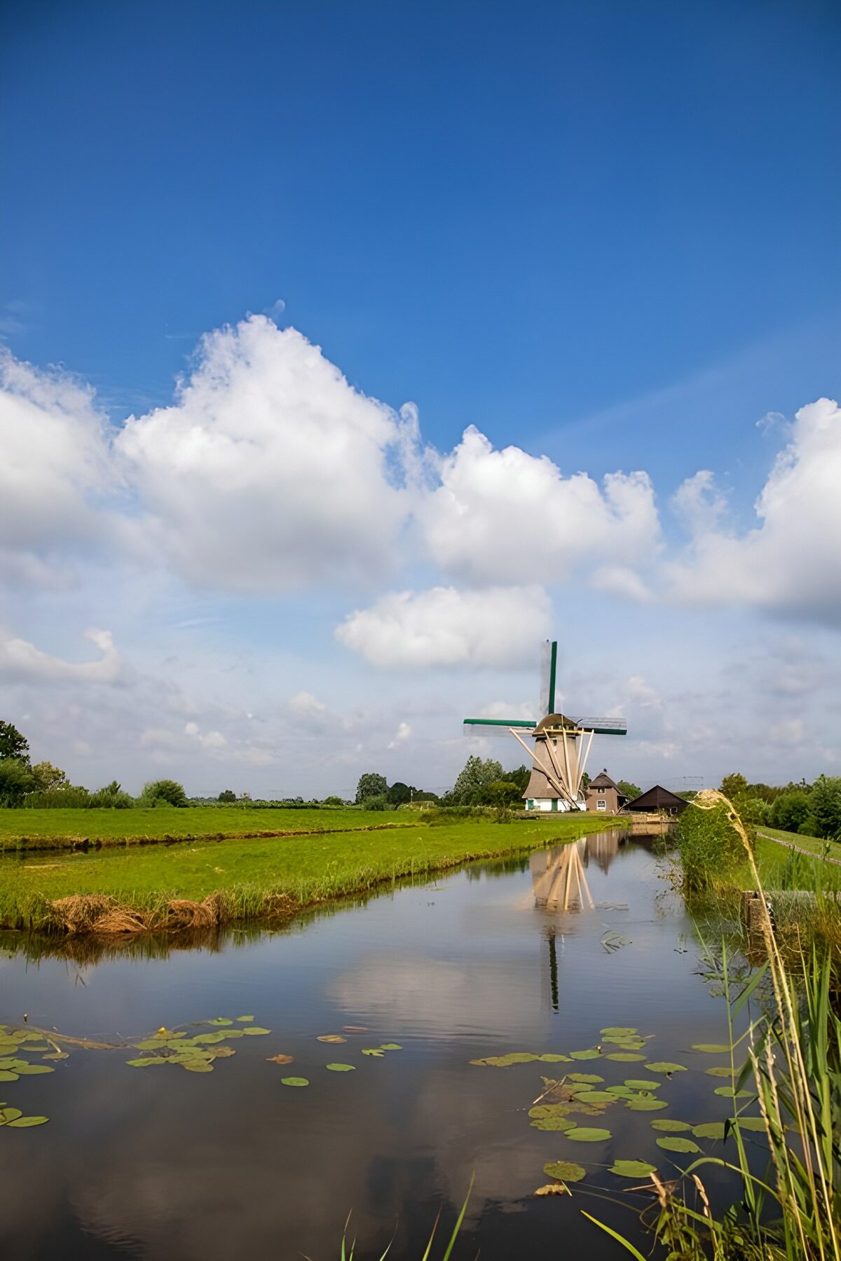 TPFR51137: Moulin paisible sous un ciel bleu