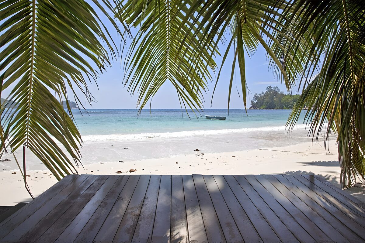 TPFR49067: Plage paisible sous les palmiers
