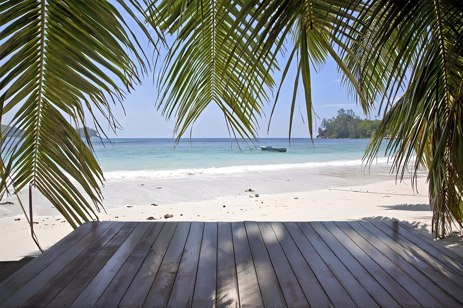 TPFR49067: Plage paisible sous les palmiers