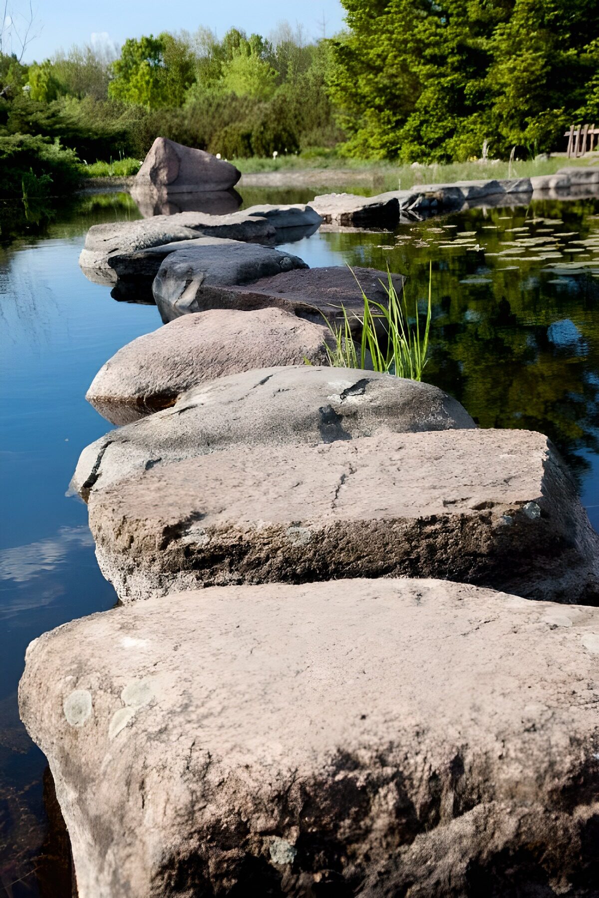TPFR68065: Chemin de pierres dans l'eau