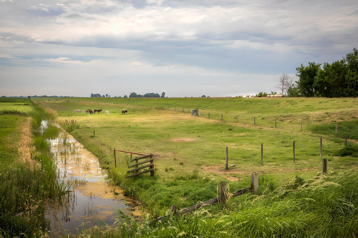 TPFR57399: Paysage pastoral sous un ciel nuageux
