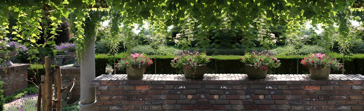 TPFR71454: Jardin en fleurs et verdure apaisante