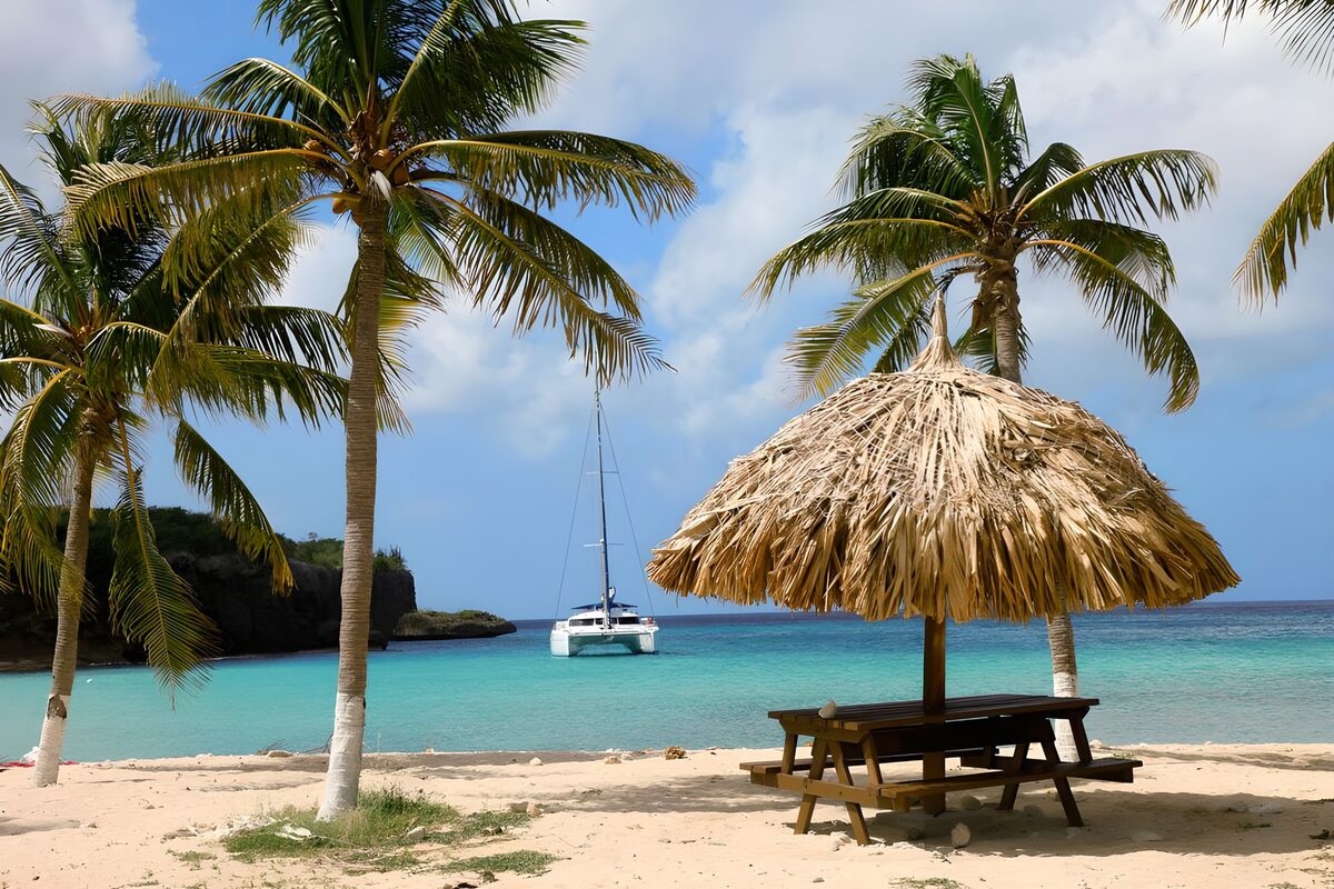 TPFR94676: Palmiers en bordure d'une plage avec un catamaran