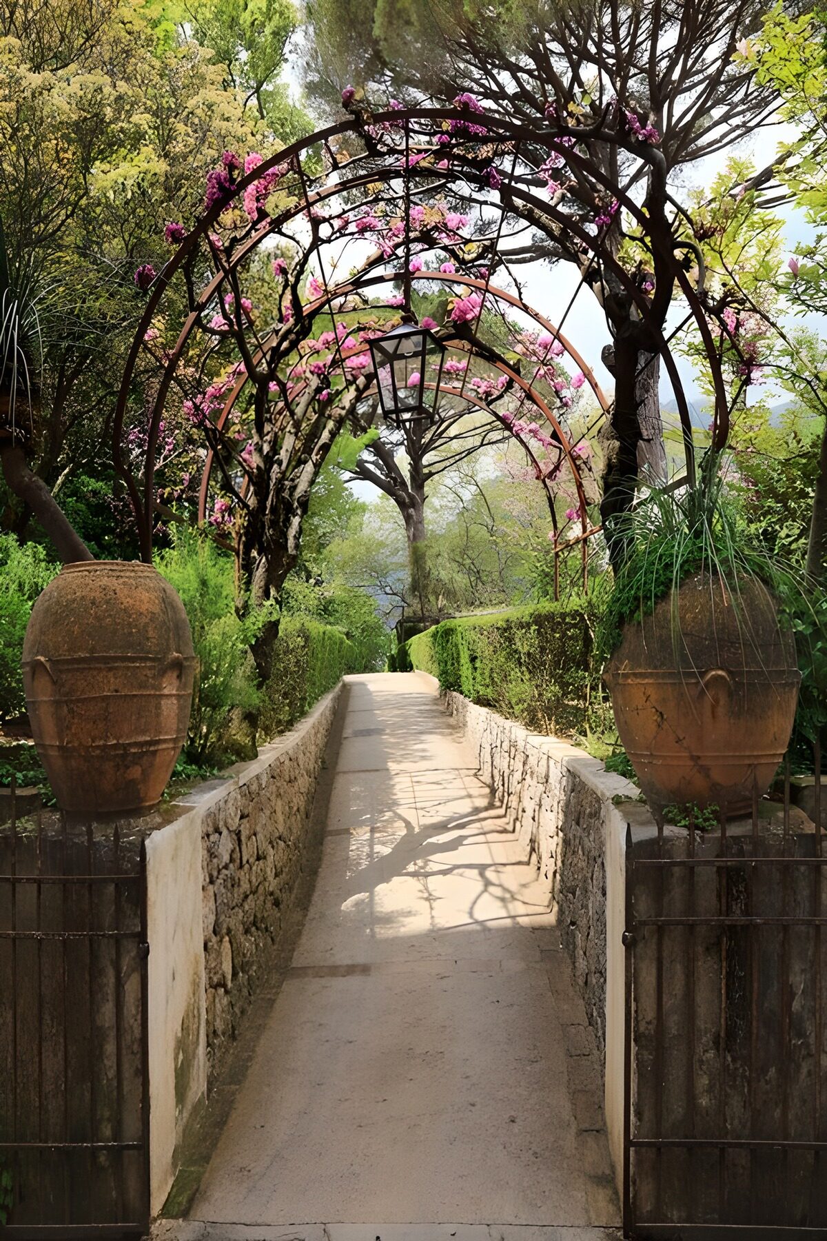 TPFR36545: Allée fleurie sous un ciel d'azur