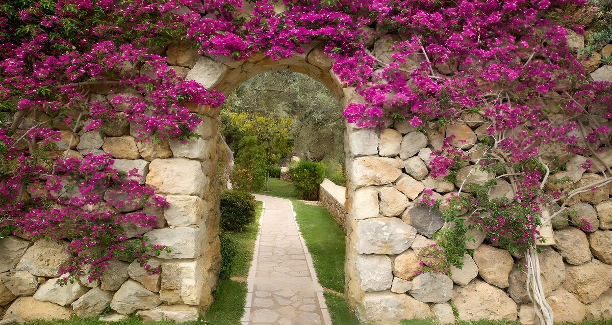 TPFR72108: Deux chemins fleuris dans un jardin