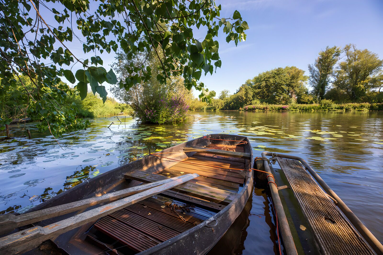 TPFR70875: Barque sur une rivière tranquille