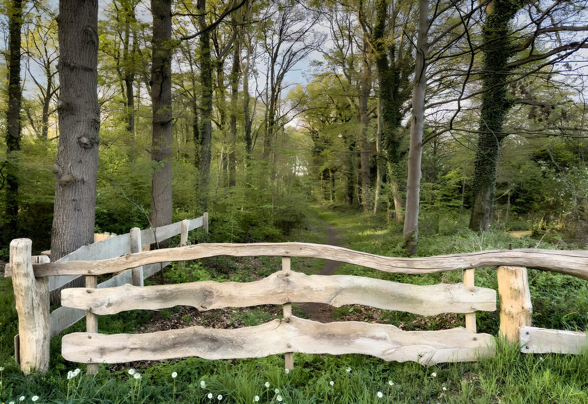 TPFR91284: Barrière rustique dans la forêt
