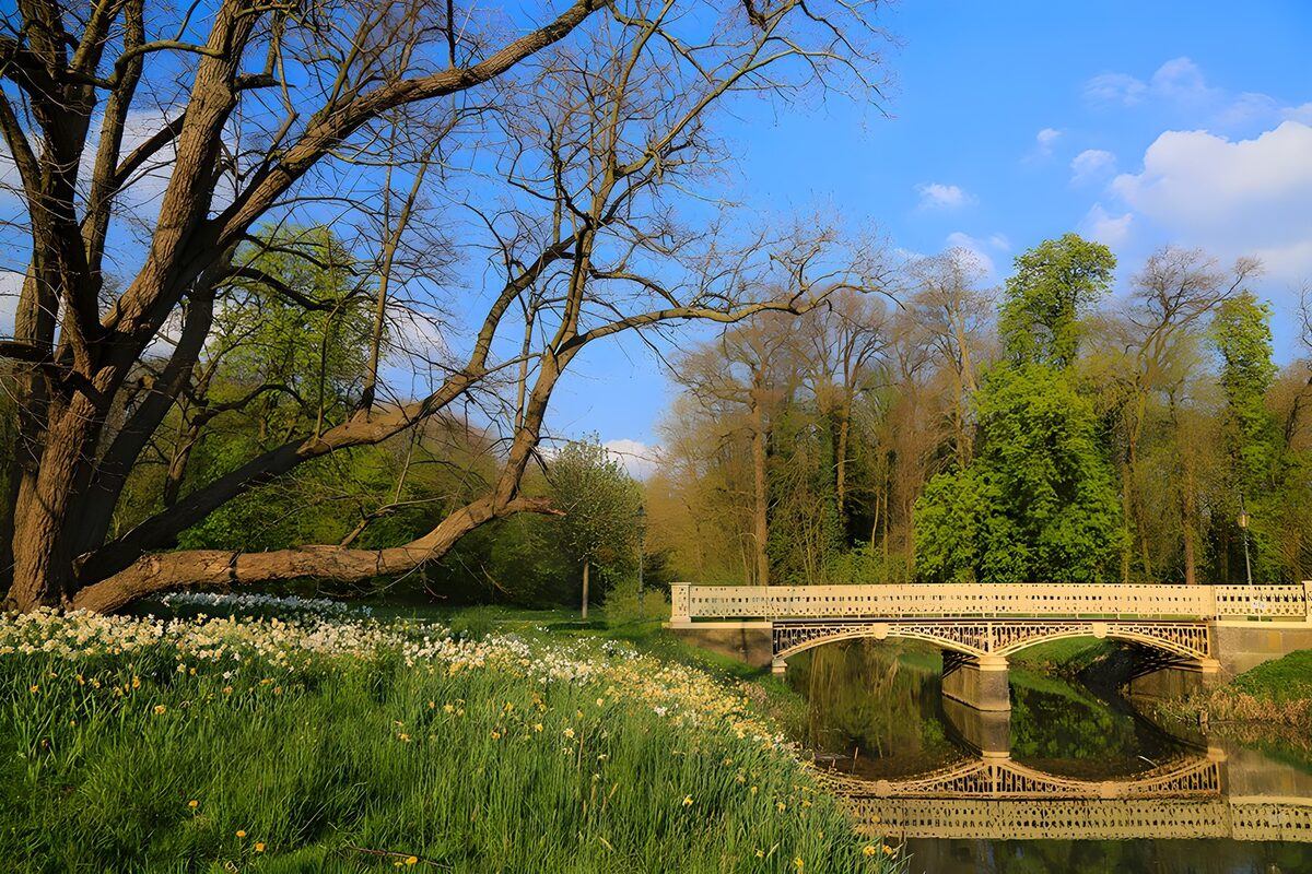 TPFR27556: Pont romantique dans la nature printanière