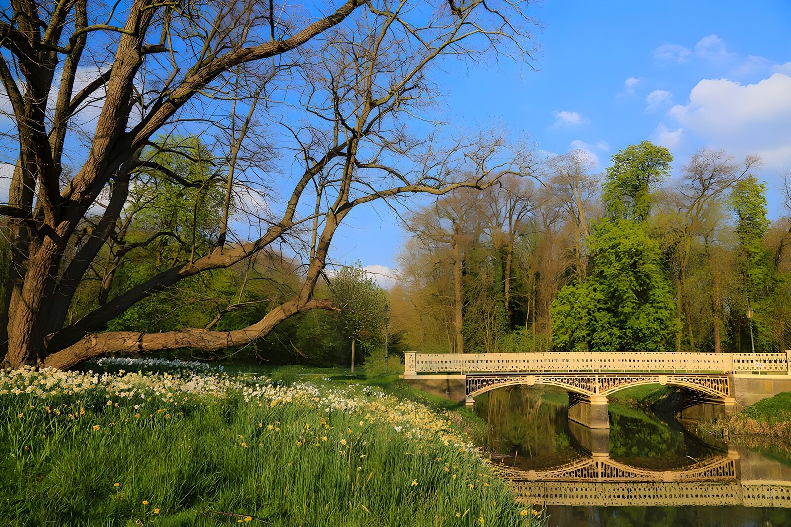 TPFR27556: Pont romantique dans la nature printanière