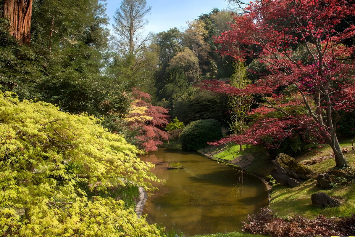 TPFR78650: Jardin paisible au bord de l'eau